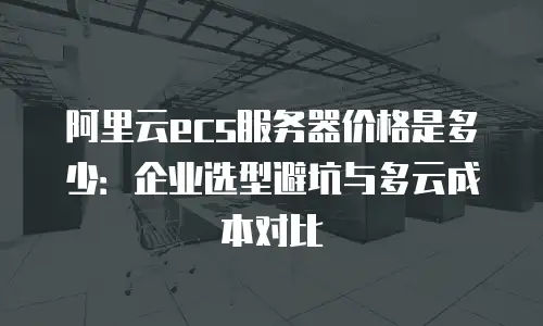 阿里云ecs服务器价格是多少：企业选型避坑与多云成本对比
