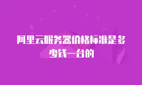 阿里云服务器价格标准是多少钱一台的
