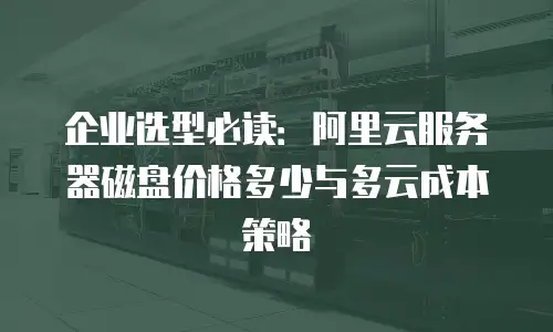 企业选型必读：阿里云服务器磁盘价格多少与多云成本策略