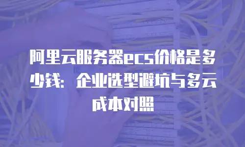 阿里云服务器ecs价格是多少钱：企业选型避坑与多云成本对照