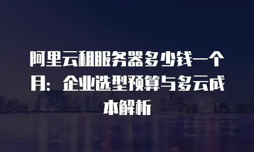 阿里云租服务器多少钱一个月：企业选型预算与多云成本解析