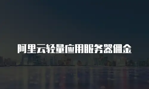 阿里云轻量应用服务器佣金