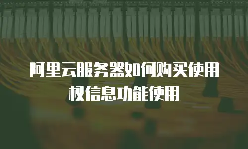 阿里云服务器如何购买使用权信息功能使用