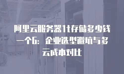 阿里云服务器1t存储多少钱一个G：企业选型避坑与多云成本对比