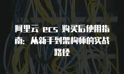 阿里云 ecs 购买后使用指南：从新手到架构师的实战路径