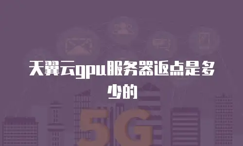 天翼云gpu服务器返点是多少的