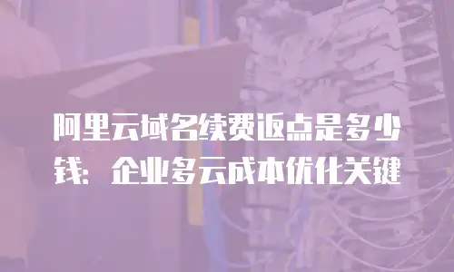 阿里云域名续费返点是多少钱：企业多云成本优化关键