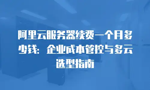 阿里云服务器续费一个月多少钱：企业成本管控与多云选型指南