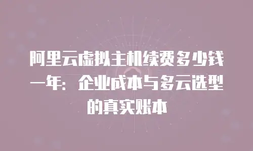 阿里云虚拟主机续费多少钱一年：企业成本与多云选型的真实账本