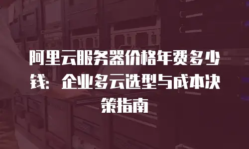 阿里云服务器价格年费多少钱：企业多云选型与成本决策指南
