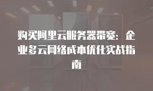 购买阿里云服务器带宽：企业多云网络成本优化实战指南