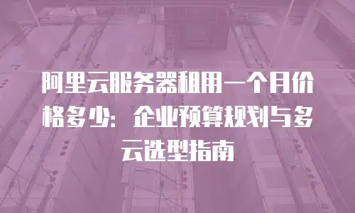 阿里云服务器租用一个月价格多少：企业预算规划与多云选型指南