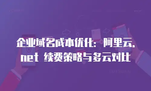 企业域名成本优化：阿里云.net 续费策略与多云对比