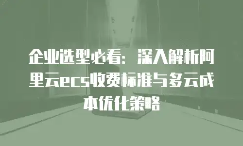 企业选型必看：深入解析阿里云ecs收费标准与多云成本优化策略