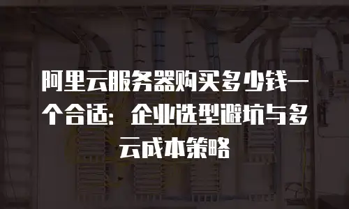 阿里云服务器购买多少钱一个合适：企业选型避坑与多云成本策略