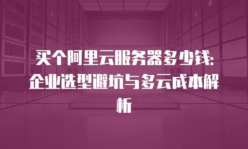 买个阿里云服务器多少钱：企业选型避坑与多云成本解析