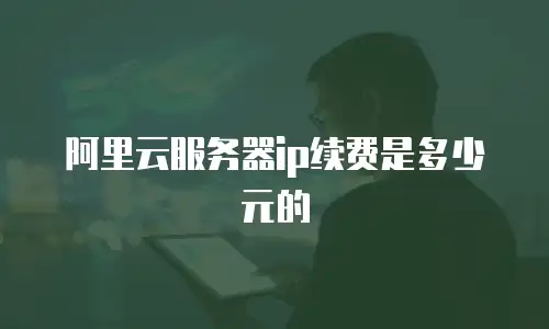 阿里云服务器ip续费是多少元的