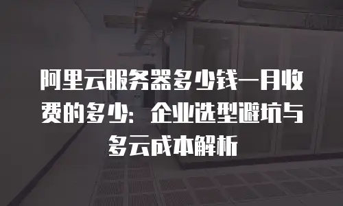 阿里云服务器多少钱一月收费的多少：企业选型避坑与多云成本解析