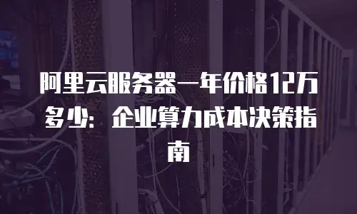 阿里云服务器一年价格12万多少：企业算力成本决策指南