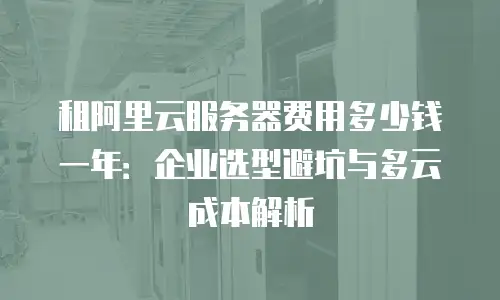租阿里云服务器费用多少钱一年：企业选型避坑与多云成本解析