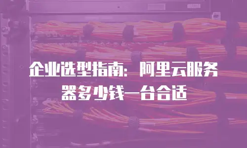 企业选型指南：阿里云服务器多少钱一台合适