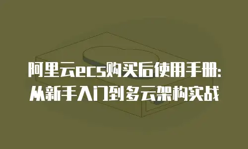 阿里云ecs购买后使用手册：从新手入门到多云架构实战