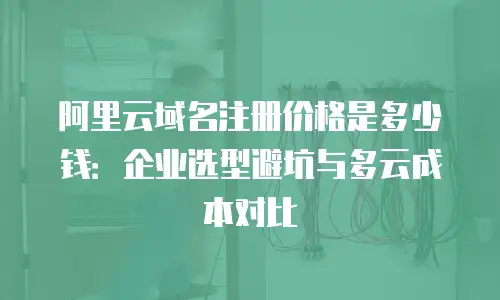 阿里云域名注册价格是多少钱：企业选型避坑与多云成本对比