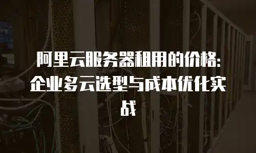 阿里云服务器租用的价格：企业多云选型与成本优化实战