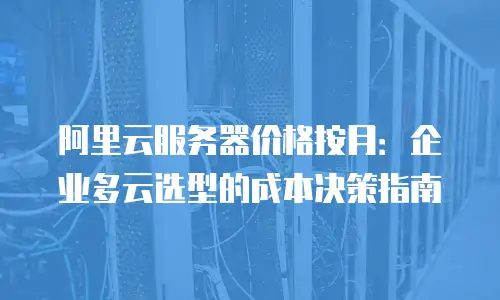 阿里云服务器价格按月：企业多云选型的成本决策指南