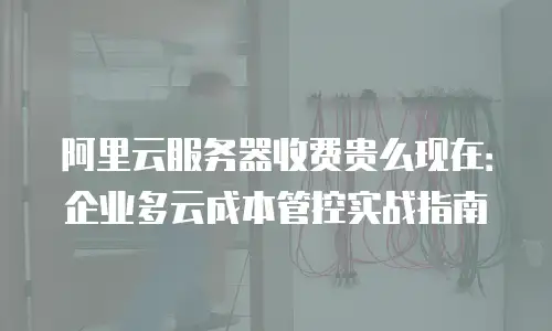 阿里云服务器收费贵么现在：企业多云成本管控实战指南
