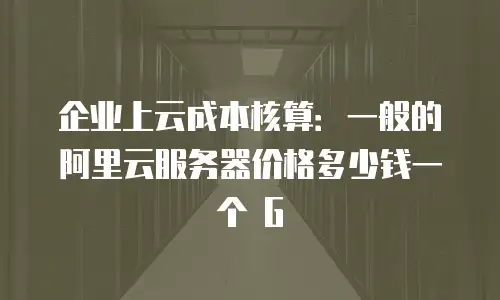 企业上云成本核算：一般的阿里云服务器价格多少钱一个 G