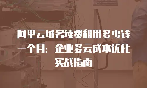 阿里云域名续费租用多少钱一个月：企业多云成本优化实战指南