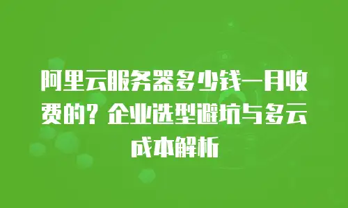阿里云服务器多少钱一月收费的？企业选型避坑与多云成本解析