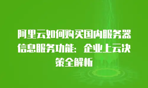 阿里云如何购买国内服务器信息服务功能：企业上云决策全解析