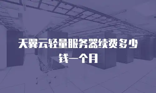 天翼云轻量服务器续费多少钱一个月