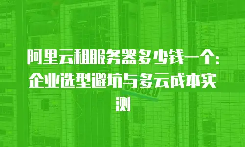 阿里云租服务器多少钱一个：企业选型避坑与多云成本实测