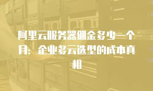 阿里云服务器佣金多少一个月：企业多云选型的成本真相