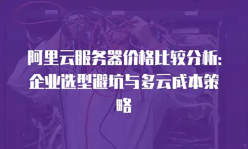 阿里云服务器价格比较分析：企业选型避坑与多云成本策略