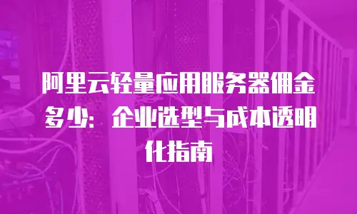 阿里云轻量应用服务器佣金多少：企业选型与成本透明化指南