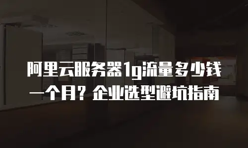 阿里云服务器1g流量多少钱一个月？企业选型避坑指南
