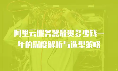 阿里云服务器最贵多少钱一年的深度解析与选型策略