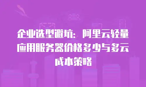 企业选型避坑：阿里云轻量应用服务器价格多少与多云成本策略