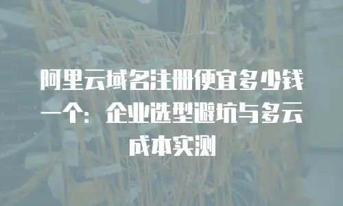 阿里云域名注册便宜多少钱一个：企业选型避坑与多云成本实测