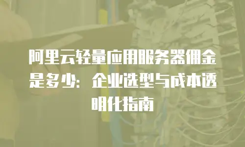 阿里云轻量应用服务器佣金是多少：企业选型与成本透明化指南