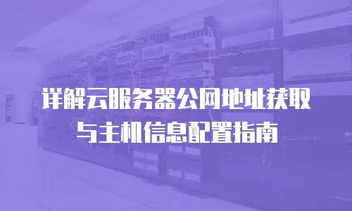 详解云服务器公网地址获取与主机信息配置指南