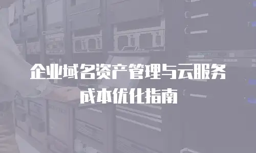 企业域名资产管理与云服务成本优化指南