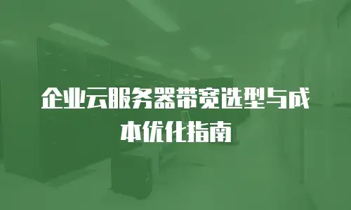 企业云服务器带宽选型与成本优化指南