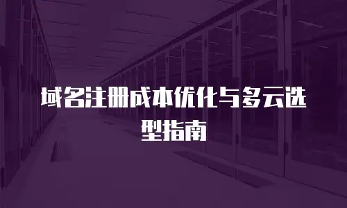 域名注册成本优化与多云选型指南
