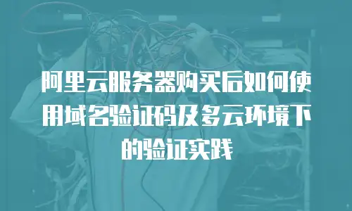 阿里云服务器购买后如何使用域名验证码及多云环境下的验证实践