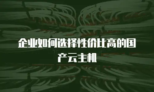 企业如何选择性价比高的国产云主机